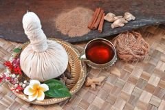 ayurvedic-doctors